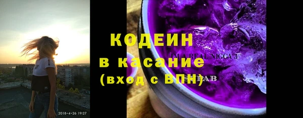 индика Верхний Тагил